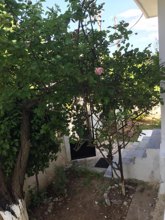 Rose'S Place Луца Экстерьер фото
